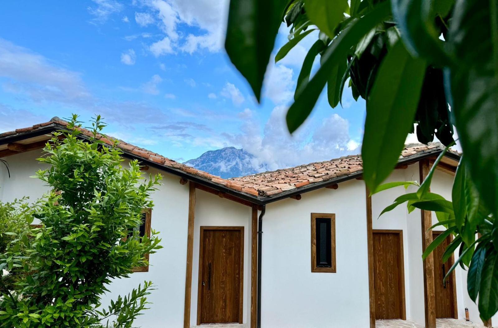 Alpeta Agrotourism & Winery - Roshnik , Berat Hotel Ngoại thất bức ảnh