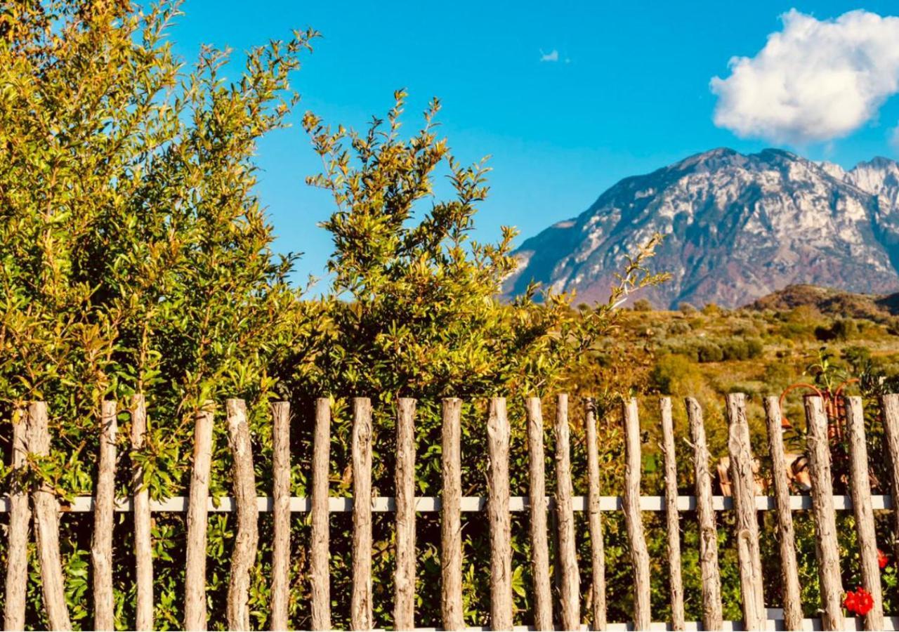 Alpeta Agrotourism & Winery - Roshnik , Berat Hotel Ngoại thất bức ảnh