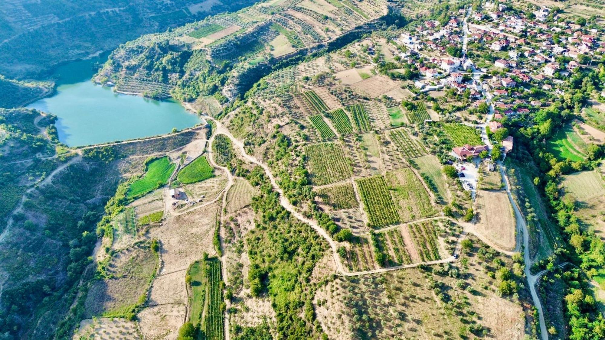 Alpeta Agrotourism & Winery - Roshnik , Berat Hotel Ngoại thất bức ảnh