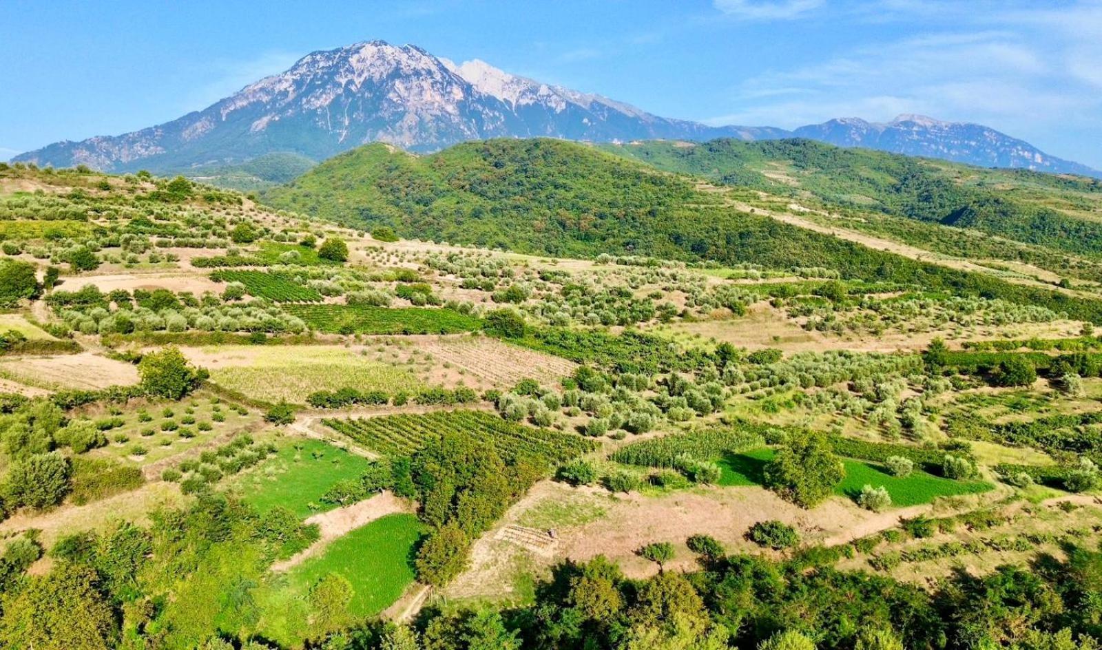 Alpeta Agrotourism & Winery - Roshnik , Berat Hotel Ngoại thất bức ảnh