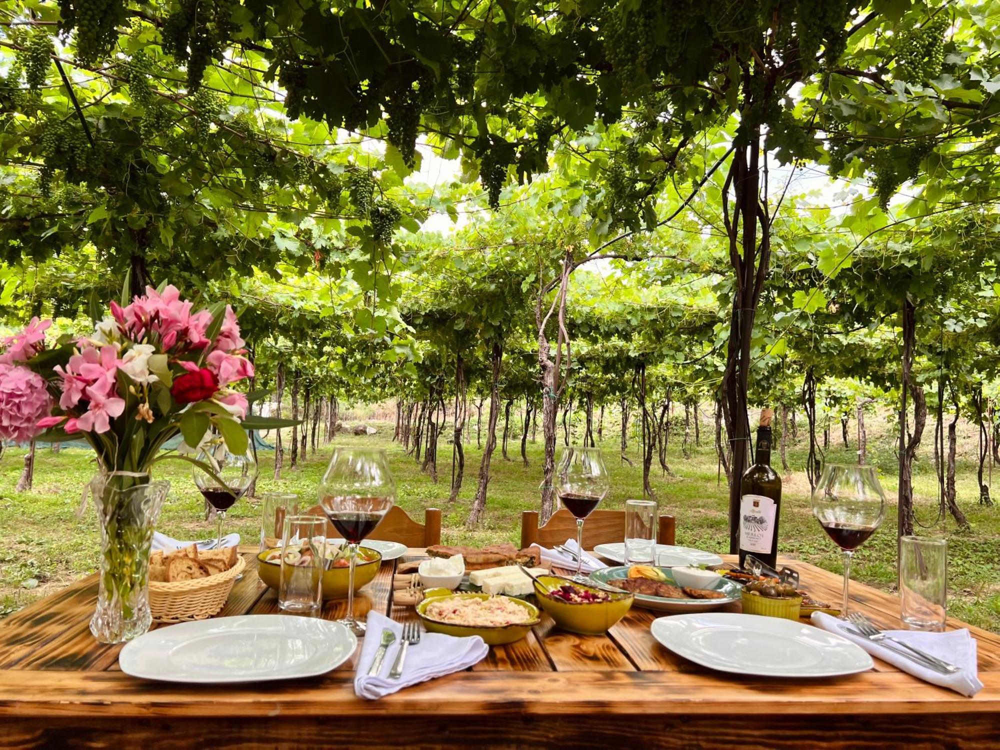 Alpeta Agrotourism & Winery - Roshnik , Berat Hotel Ngoại thất bức ảnh